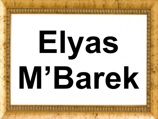 Elyas M’Barek